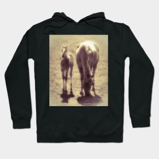 Mother And Child Reunion Hoodie